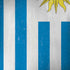 Uraguay Flag Distressed iPhone X Pro Case